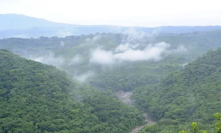 Bosque de Cinquera