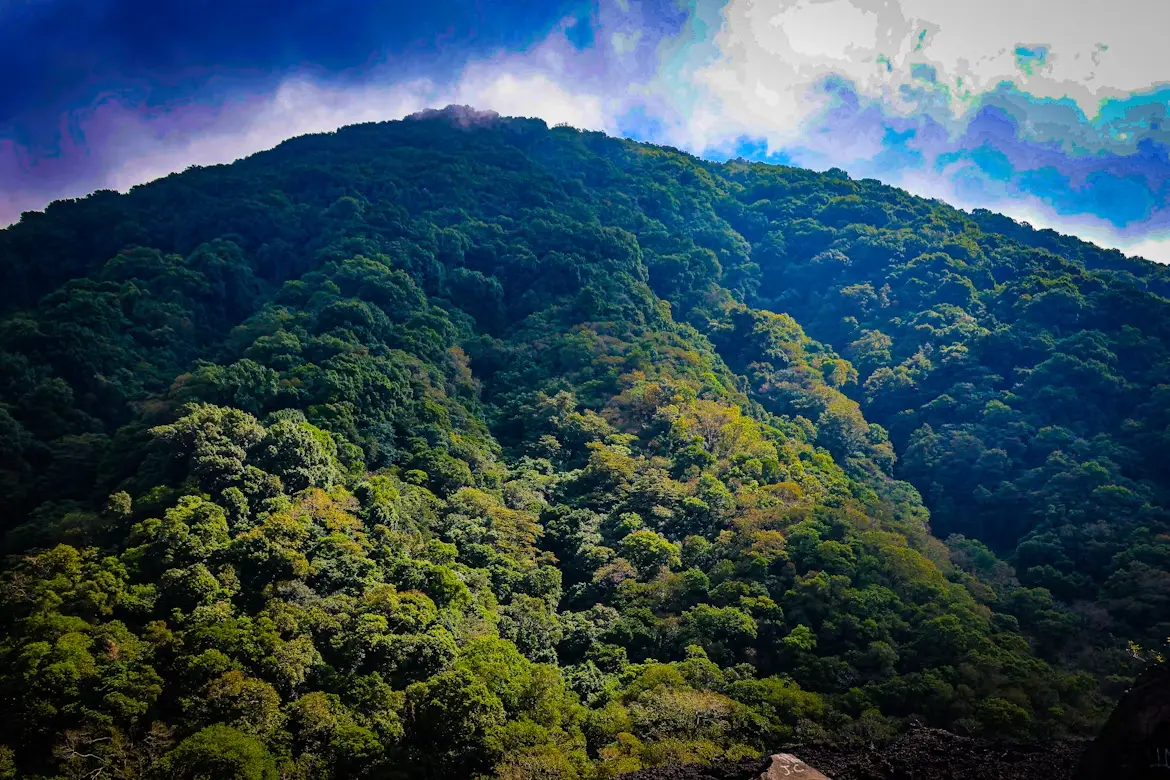 Cerro Verde